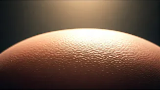 Related Stories banner