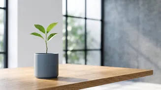 How Savings, Emergency Funds And SIPs Fit Together