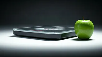 Air India's Strict Health Mandate: Cabin Crew Face Pay Cuts Over BMI