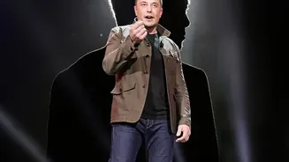 Musk: Broad education key to beat AI