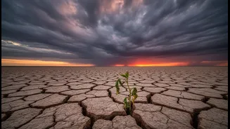 What Every Indian Should Know About El Niño And Climate