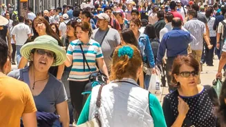India's IPO Queue Is Crowded: What Investors Should Check Before Applying