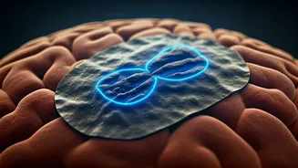 Revolutionary 'Smart Plasters' Promise Targeted Drug Delivery for Brain Cancer and Skin Diseases