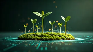 Sustainability Mapping Credentials Unlock Lucrative Green Jobs For Grads