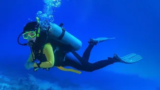 How Late Autumn Weather Conditions Create Ideal Visibility For Scuba Divers In Lakshadweep
