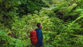 Waterproof Packing Tips Every Western Ghats Backpacker Should Know This Monsoon