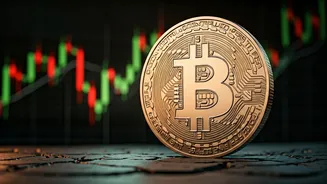 Bitcoin's Stance: Navigating Crypto's Rocky Roads