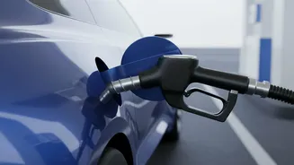 Government Replies Put E20 Mileage Loss Between 2% and 6%