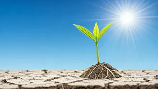 5 Confidence Boosters: Elevate Your Self-Assurance