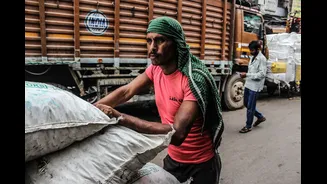 India's Job Market Evolution: From Agriculture to AI
