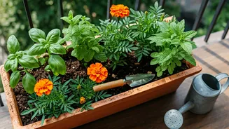 New To Gardening? Start Here