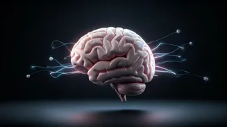 Unlock Peak Brain Power: Daily Habits Experts Swear By for a Sharper Mind