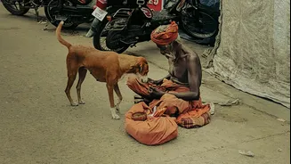How to Care for Pets During the Indian Monsoon