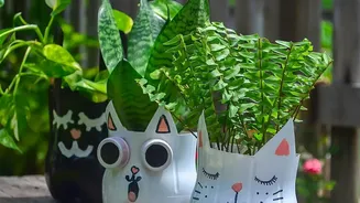 7 Easy DIY Decorations That Do Not Require Advanced Craft Skills