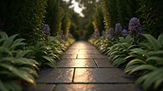 A Gentle Walk After Dinner Could Support Better Digestion