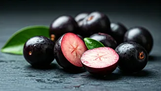 Jamun Is Back And Better Than Ever