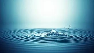 Related Stories banner