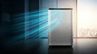 Delhi's Post-Diwali Air Quality: 5 Ways to Breathe Easy