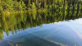 Finland’s Quietchella Festival Brings Wildlife And Natural Landscapes Into Focus