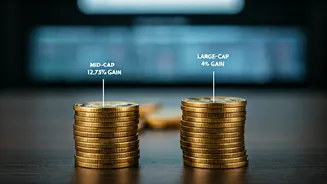 Bank Stock Strategy: Gains in Mid-Cap & Large-Cap Stocks