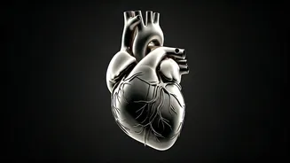 Avoid These Risks For a Healthy Heart After 30