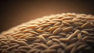 Designer Rice: India's Protein-Packed Solution to Hidden Hunger & Diabetes