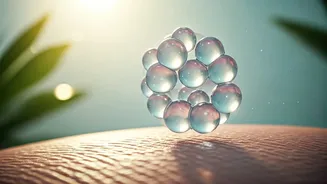 10 Featherlight Ceramide Creams to Rejuvenate Your Skin Barrier