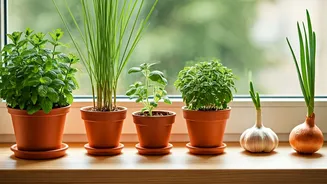 5 Aromatic Plants to Naturally Keep Lizards Out of Your Home