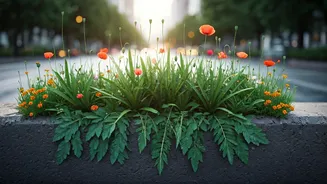 Mumbai Roads Just Got A Monsoon Nature Upgrade