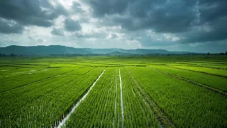 September Rainfall And Indian Agriculture: The Crops, Regions And Markets To Watch