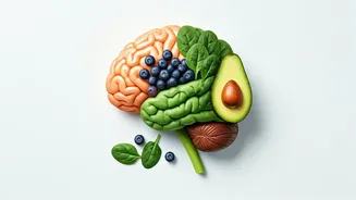 Daily Habits Boost Brain & Lower Cholesterol
