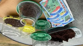 Creative Recycling Strategies to Save Money on Gardening Supplies