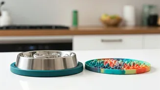 Activity-Specific Bowls Are Built For Modern Pet Lives