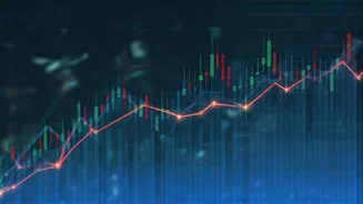 Who Gained and Lost in India's Stock Market?
