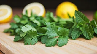 Smell Fresh: 5 Foods That Can Make You More Appealing