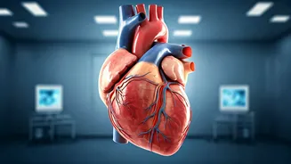 Heart Attack Risk: 2 Key Indicators Revealed