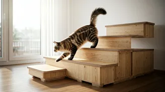 Install Modular Wooden Steps Helping Heavy Domestic Cats Lose