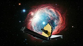 Webb Telescope's Stellar Discovery: The Universe's First Lights?