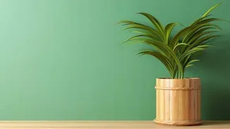 5 eco-friendly ideas for indoor plant pots