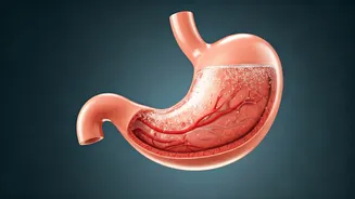 Unveiling the Effects of Salt Water Consumption