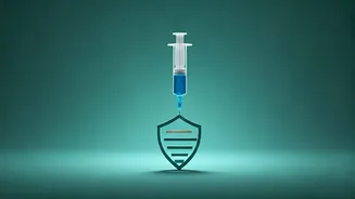 Related Stories banner