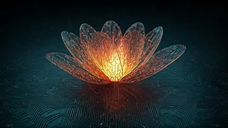 Related Stories banner