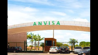 Anvisa suspende produtos manipulados e recolhe remédios falsos