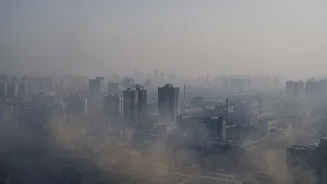 Delhi's Air Pollution And Cancer Risk Debate Explains Why Delhi's Smog Is Not Just A Smoking Issue