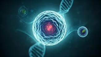 90% Cancer Risk is Lifestyle-Driven: Doctor Explains How to Naturally Lower Your Chances