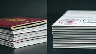 UAE And Japan Trips Need Document Checks