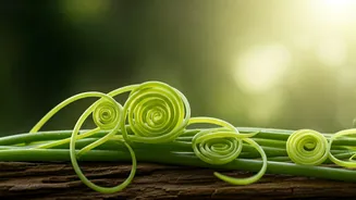 Finding Love: How to Navigate Relationships