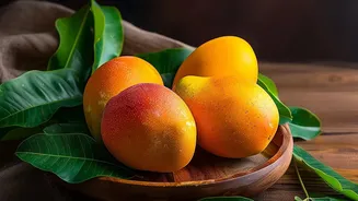 The First Karnataka Air Shipment Shows How Mango Exports Can Stretch the Season