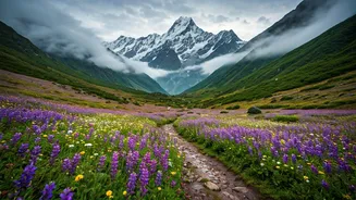 Valley Of Flowers Demands Weather-Smart Trekking Now