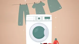 How Simple Household Chores And Walking Boost NEAT Output Daily Effortlessly